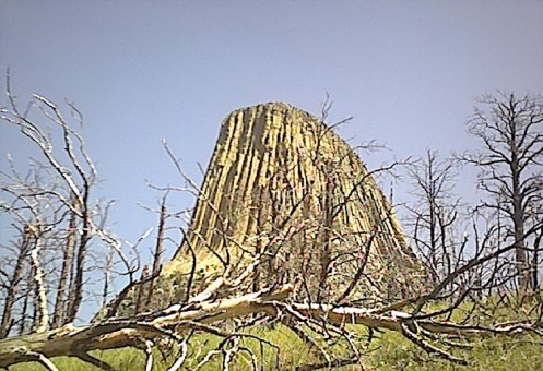 devils tower through a part of the forest that got burned